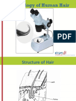 Morphology of Human Hair