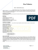 Emaur Rapid Vopsea Auto Acrilica PDF