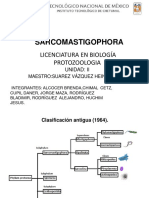 Protozoologia - Corrección-1