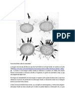 Analisis de Imagen Tomada de La Teoría de Ehrlich Sobre La Inmunidad