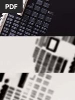 PF Luis Ferreira 2010 NET2