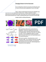 Color Changing Flowers For The Classroom PDF