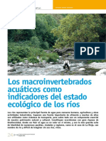 Dialnet-LosMacroinvertebradosAcuaticosComoIndicadoresDelEs-4015812.pdf