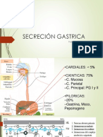 Secreción Gastrica 2