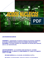 acidos_nucleicos 16