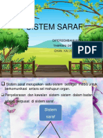 Sistem Saraf