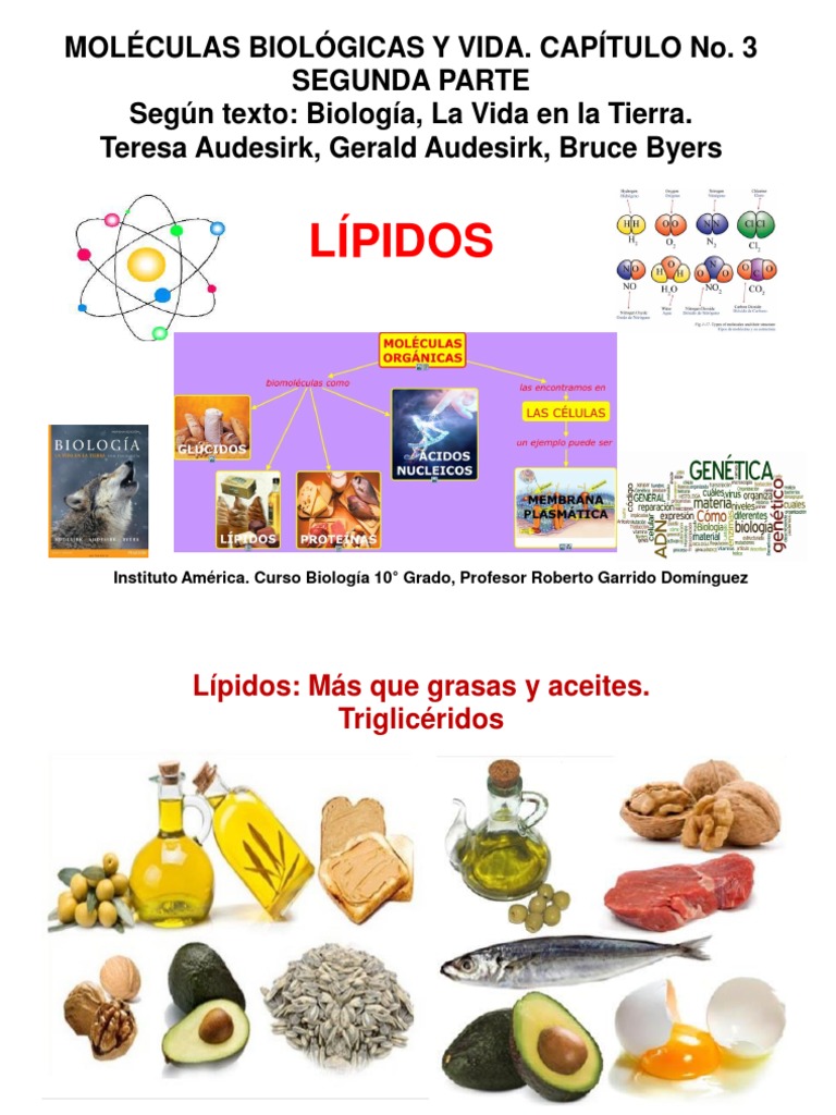 bio 10° moléculas biológicas Lípidos IIParte 2017