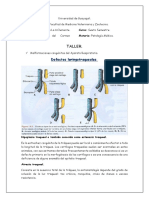 Malformaciones congenitas del A. respiratorio.docx