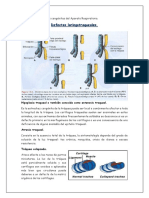 Malformaciones Congénitas Del Aparato Respiratorio