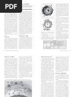 Hepatite crônica (HBV)