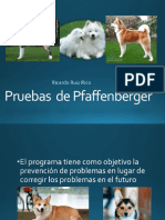 Pruebas de Pfaffenberger Ricardo.