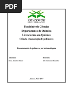 2. Moldagem Rotacional Final