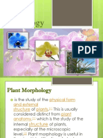 Topic 3 Plants Morphology