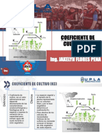 Semana 06_coefc. Cultivo