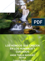 Hongos Que Crecen en Los Humanos y Cuidados