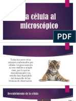 La Célula Al Microscópico