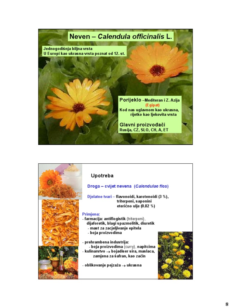 Neven | PDF