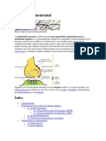 Plasticidad Neuronal