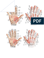 Atlas-Anatomico-en-Color-de-Los-Puntos-Extraordinarios-de-Master-Tung.pdf