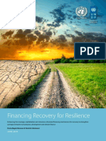 Financing Recovery For Resilience Report