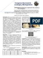 Micropropagación de Organismos Élite de Pinus Engelmannii, P. Arizonica y