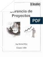 Gerencia de Proyectos