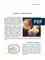 6° Placenta y Membranas Fetales