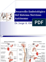 Autónomo.pdf