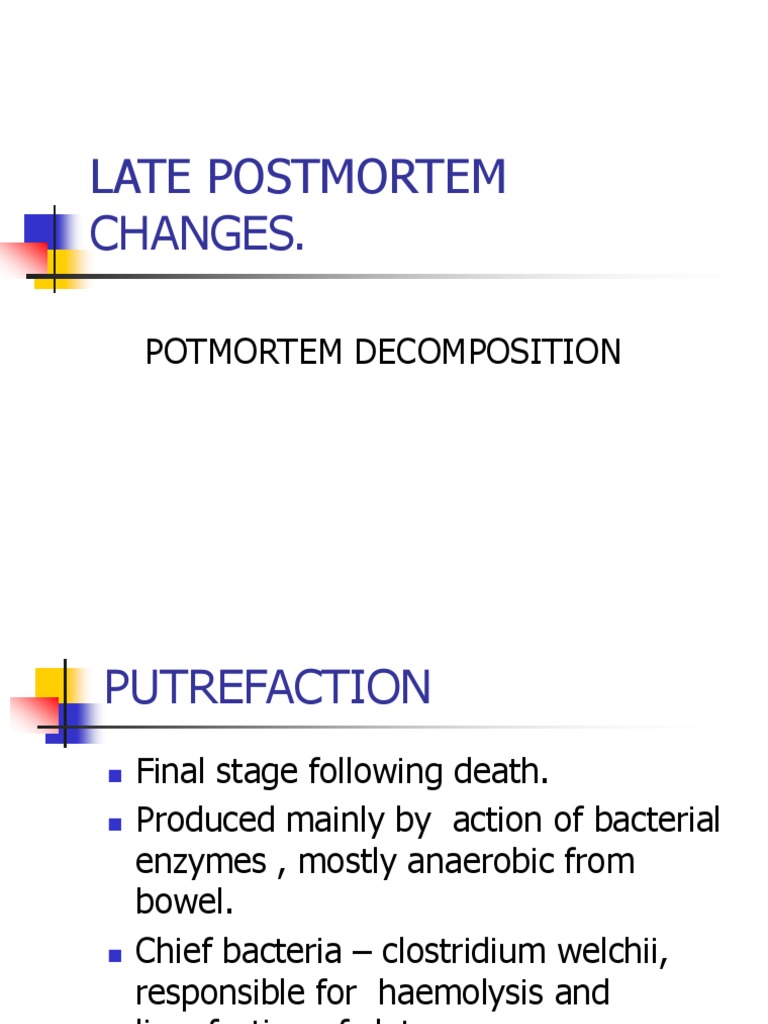 Late Postmortem Changes and Putrefaction | PDF | Decomposition | Bacteria