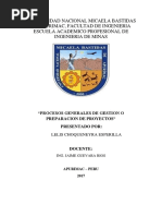 Gestion de Proyectos