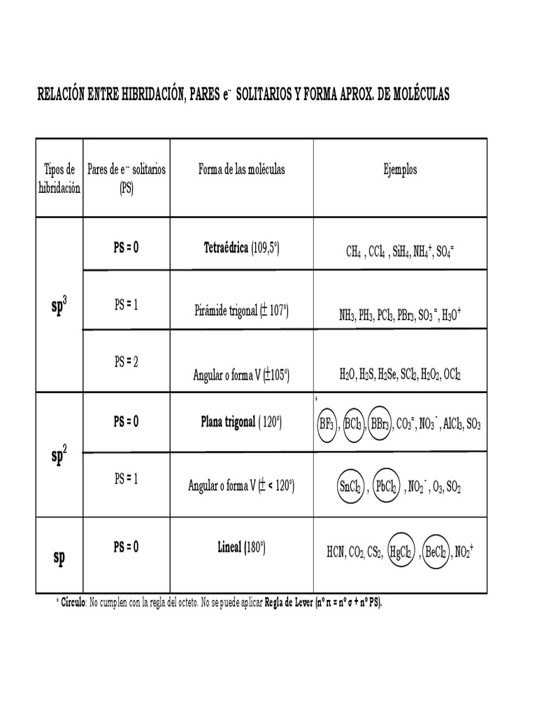 HIBRIDACION PDF
