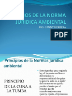 Clase 5. Principios de La Norma Juridica Ambiental