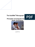  Audit Techniques Principles of Computer Assisted