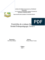 223717006-Portofoliu-Final-DPPD - Copy.doc