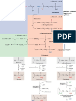 Reactions catalyzed by glutamate synthase.: Nadph + H + glutamine + α-ketoglutarate