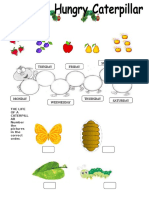 Food + life cycle sequencing