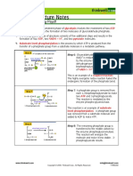 Glycolysis Handout Payoff answers