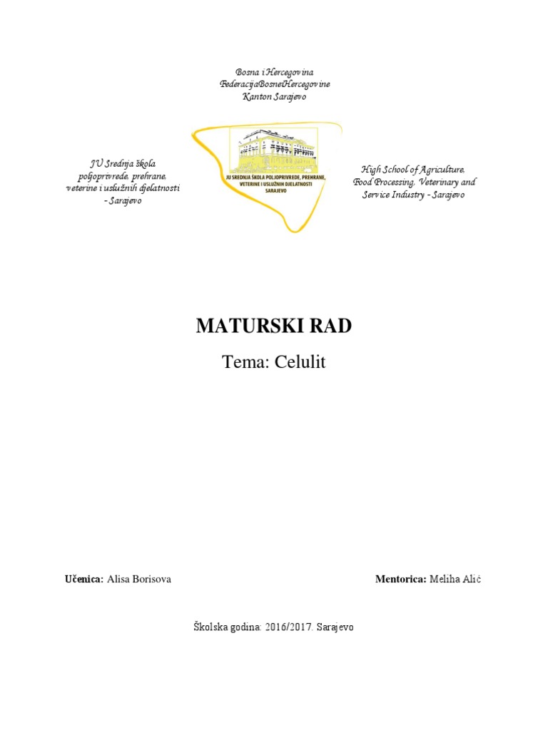Maturski Rad PDF