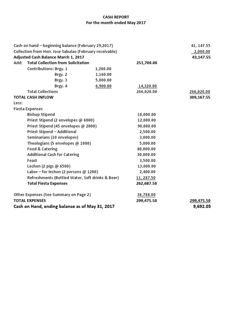 Cash Report Sample PDF