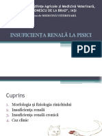 Insuficienta Renală Farmacie