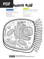 Animal Cell Coloring Page