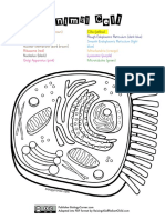 ASE SC 1 Animal & Plant Cell Coloring | PDF | Endoplasmic Reticulum | Cell  (Biology)