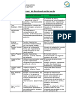 Teorias de Enfermeria PDF