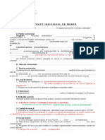 Anexa 1 Contract Individual de Munca