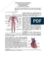 4. GUIA CIRCULACION HUMANA.docx