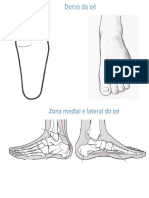 Mapa Ficha Lateral Medial e Dorso (Aula4)