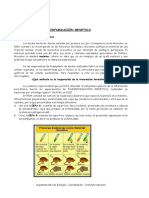 Adn-y-Replicación (1).pdf
