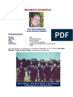 El Dossier Cuando Se Produjo Captura de 'Martín Sombra' Durante La Operación Resplandor en Febrero de 2008