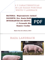 HISTORIA Y CARACTERISTICAS RACIALES DE LAS RAZAS PORCINAS.pptx