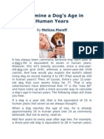 Determine A Dog' Age in Human Years